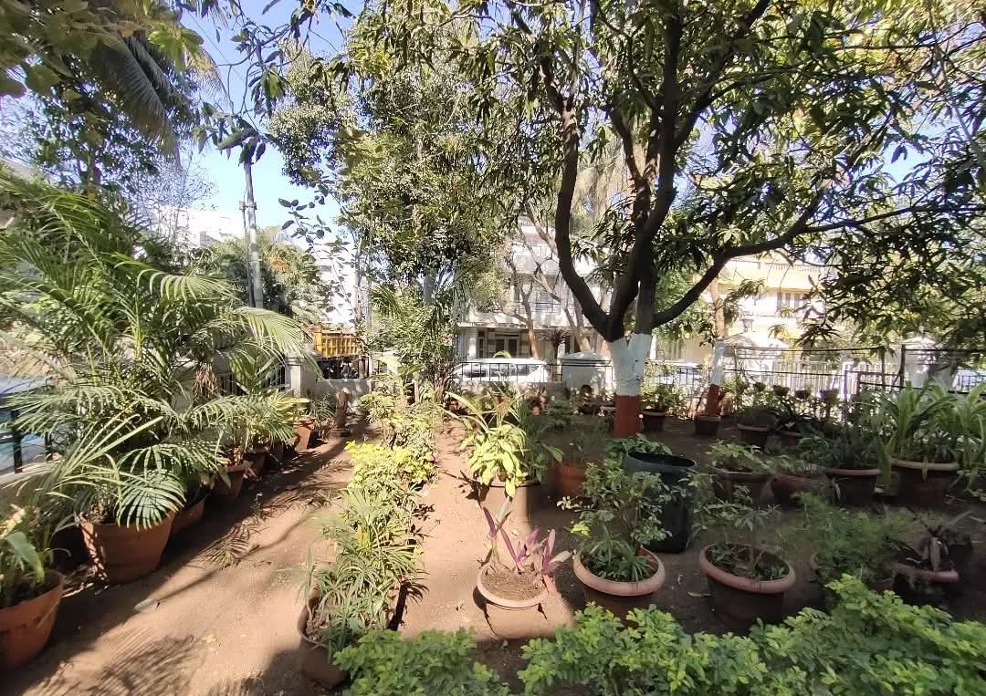 Serene Garden Space